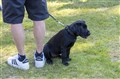 12072025-_IMG9387.JPG