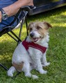 12072025-_IMG9390.JPG