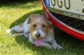 12072025-_IMG9460.JPG